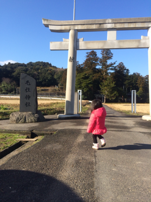 image-20140127124508.png